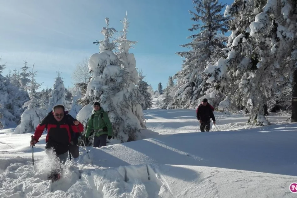 Koło Grodzkie PTTK: 7 lat na czerwonym szlaku - zdjęcie 8