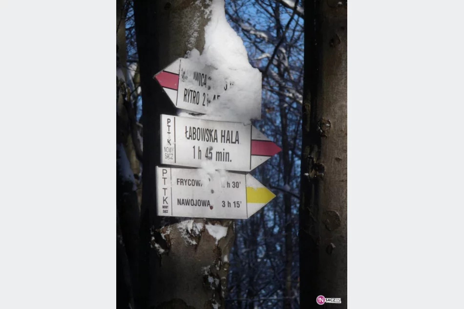 Koło Grodzkie PTTK: 7 lat na czerwonym szlaku - zdjęcie 10