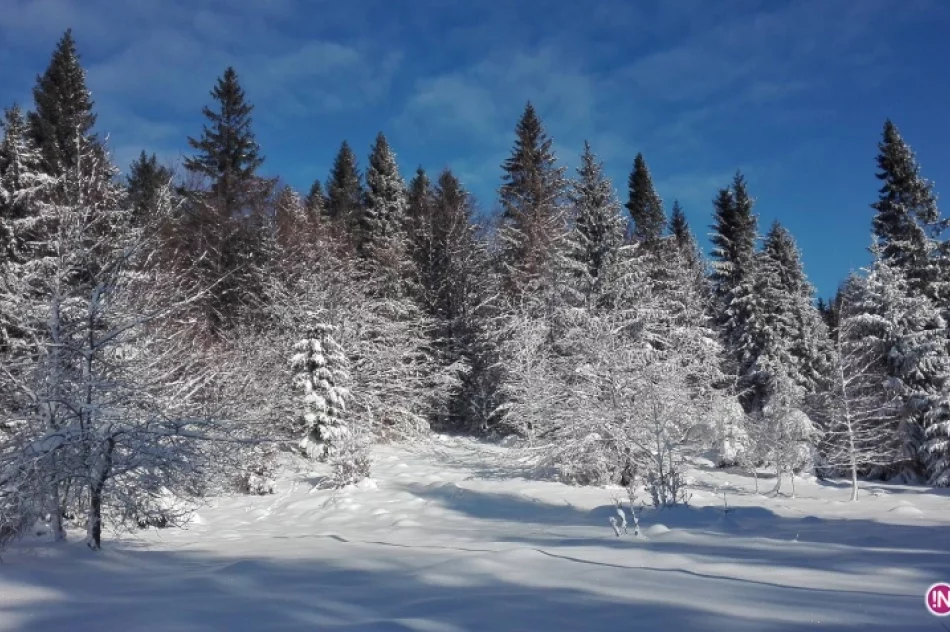 Koło Grodzkie PTTK: 7 lat na czerwonym szlaku - zdjęcie 12