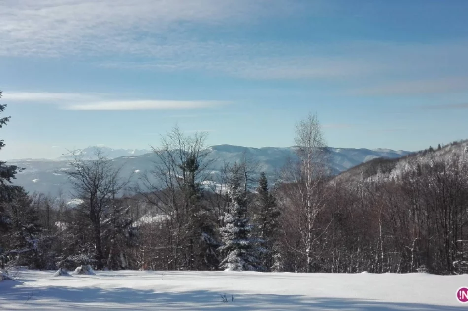 Koło Grodzkie PTTK: 7 lat na czerwonym szlaku - zdjęcie 15