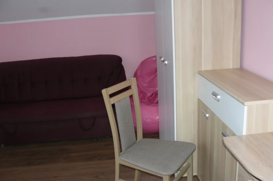 Nowy dom dla Kingi Grucy z Berestu - zdjęcie 5