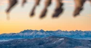 Ostrzeżenie meteorologów - gołoledź. A jak było w górach? Zobacz zdjęcia - zdjęcie 3