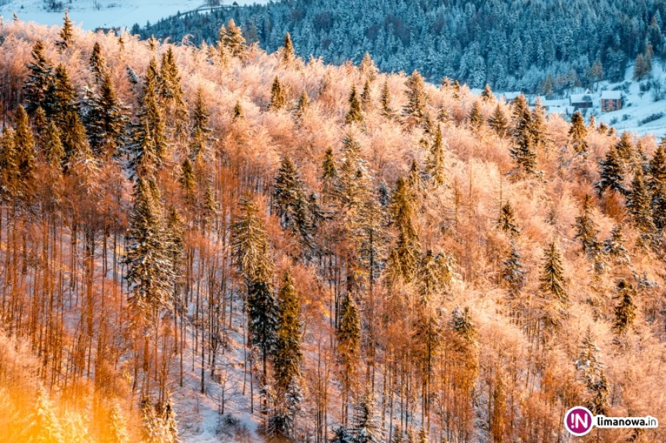 Jesienna zima w górach - 15 XI 2016 r. - zdjęcie 13