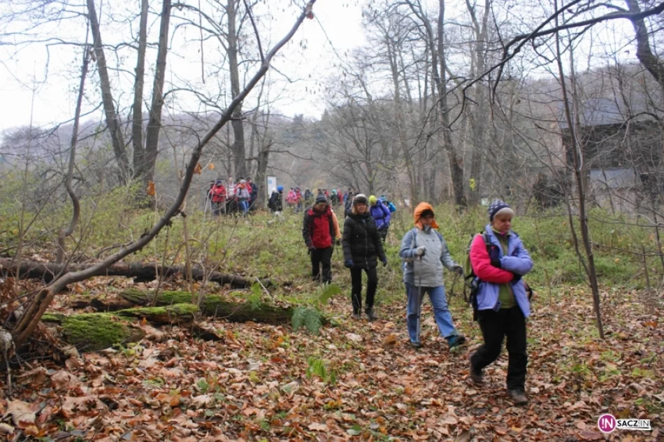 Szlakiem Orlich Gniazd. Sądeczanie z PTTK na najpiękniejszym szlaku turystycznym w Polsce - zdjęcie 16