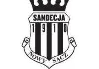 Czeski obrońca dołączył do Sandecji - zdjęcie główne