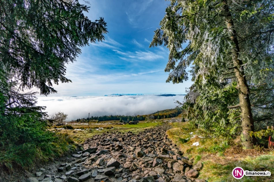 Jesienny poranek w Beskidzie Wyspowym - zdjęcie 2