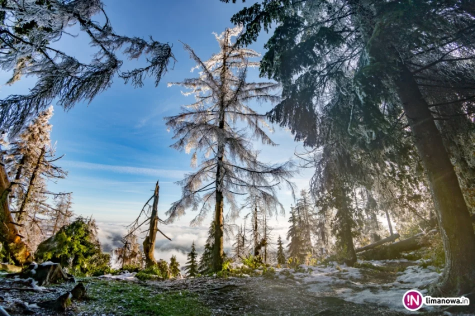 Jesienny poranek w Beskidzie Wyspowym - zdjęcie 3