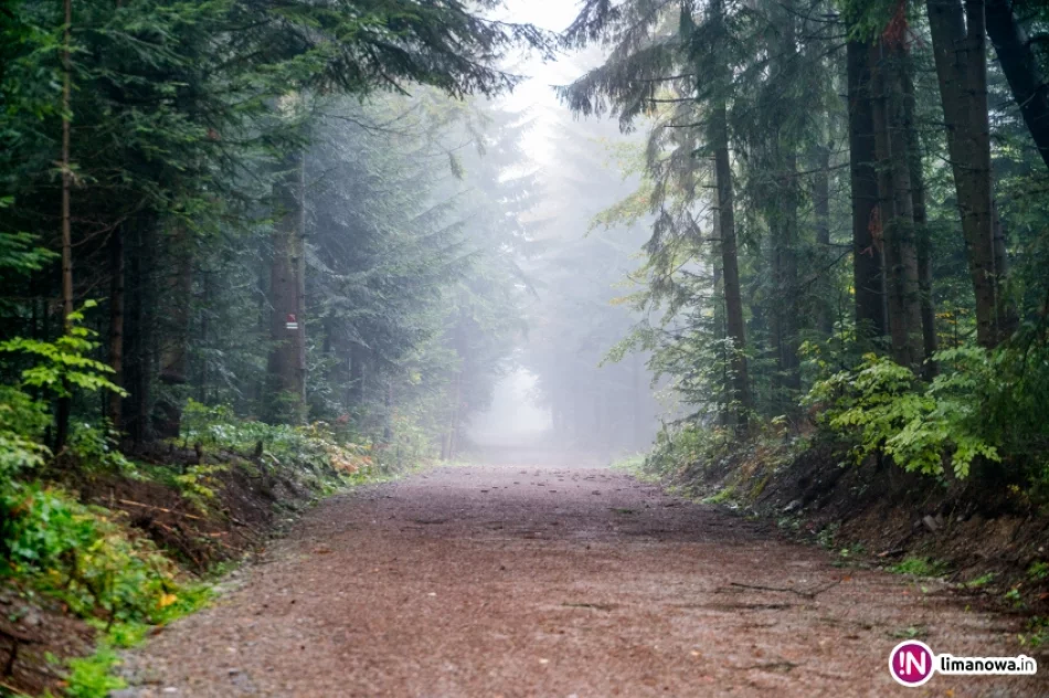 Jesienny poranek w Beskidzie Wyspowym - zdjęcie 4