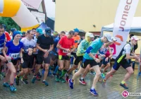 Biegli po Złotą Paproć - zdjęcie główne