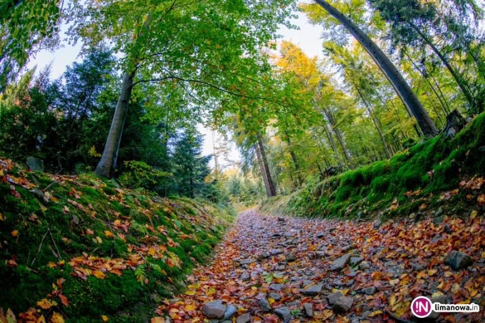 Jesienny poranek w Beskidzie Wyspowym - zdjęcie 18