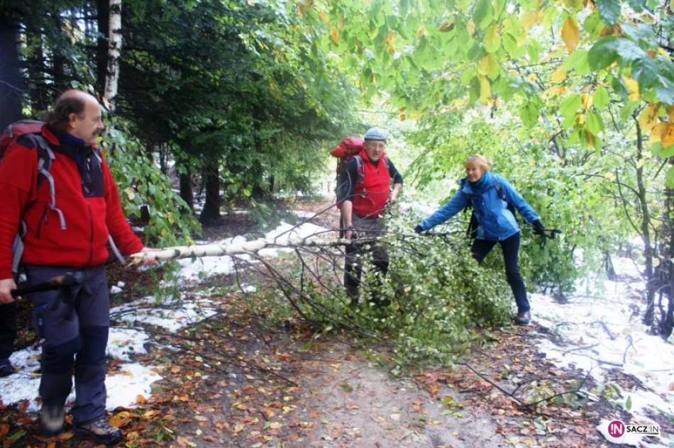 PTTK bliżej gwiazd. Sądeczanie na Lubomirze - zdjęcie 6