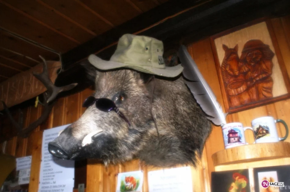 PTTK bliżej gwiazd. Sądeczanie na Lubomirze - zdjęcie 7