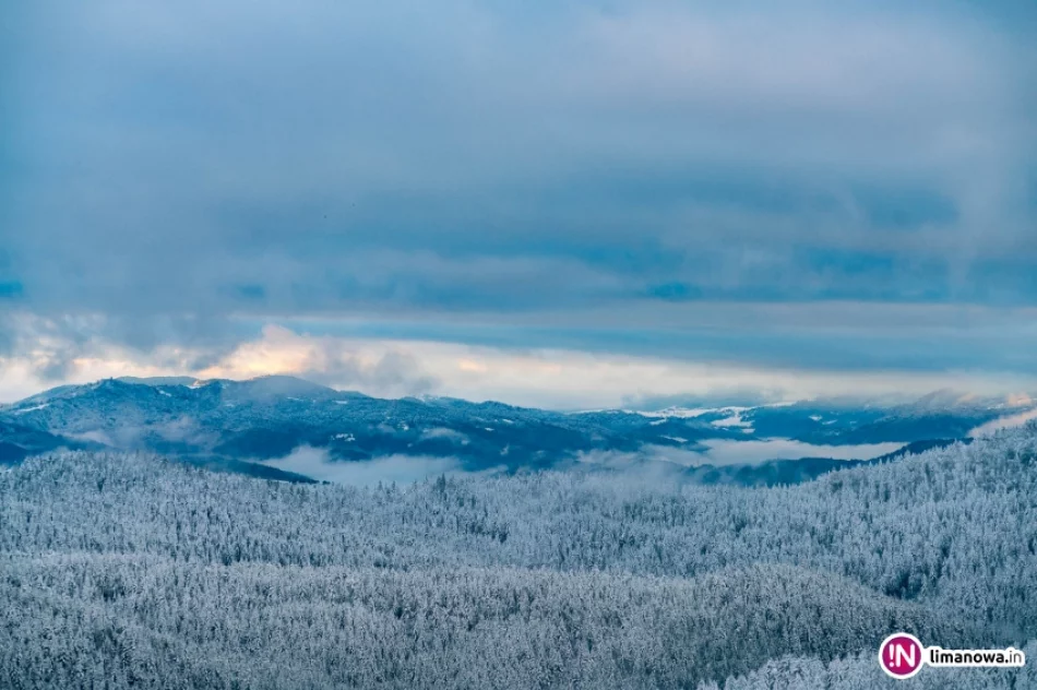 Zima jesienią 2016 roku - zdjęcie 3