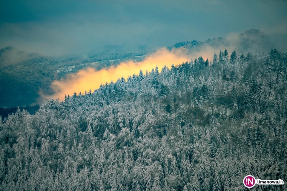 Zima jesienią 2016 roku - zdjęcie 4