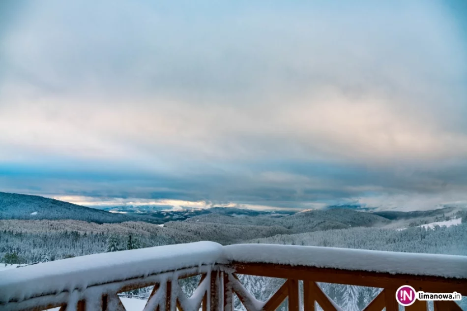 Zima jesienią 2016 roku - zdjęcie 5