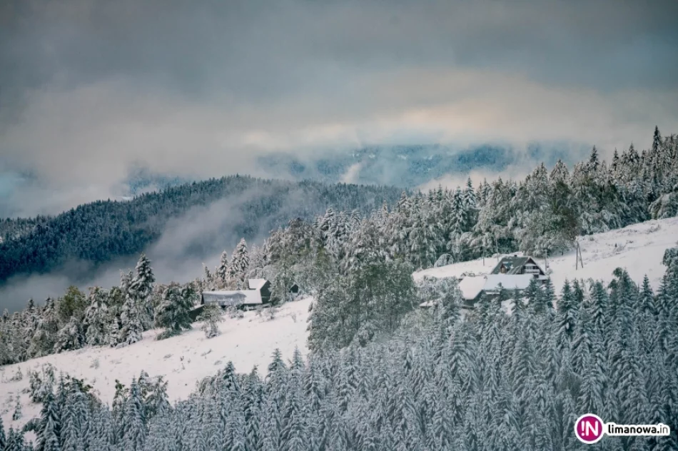 Zima jesienią 2016 roku - zdjęcie 6