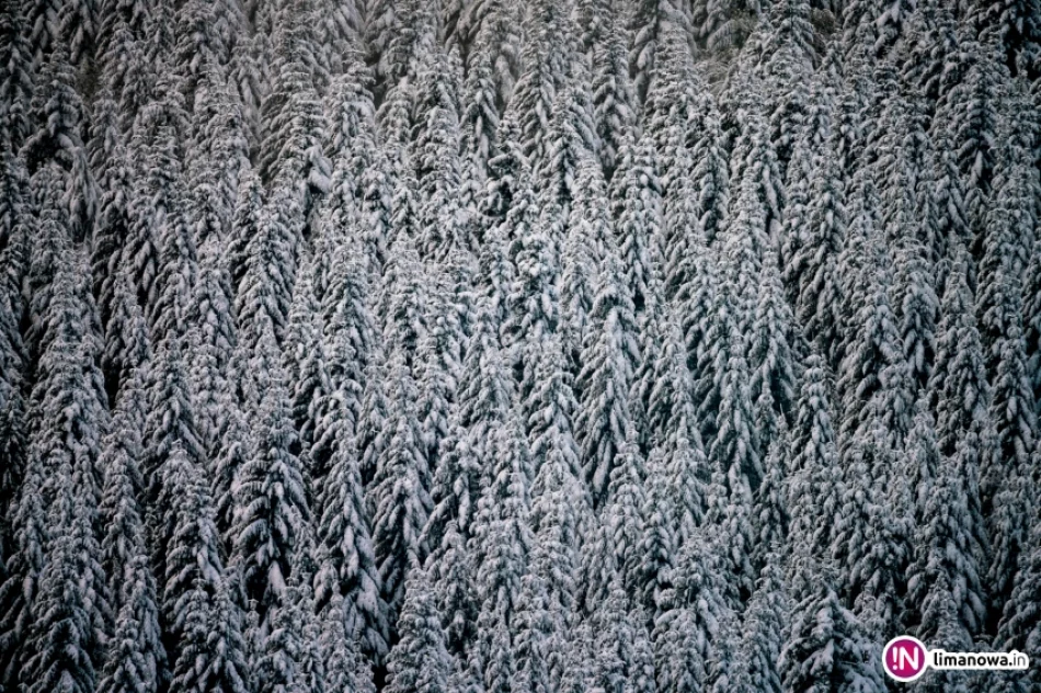 Zima jesienią 2016 roku - zdjęcie 7