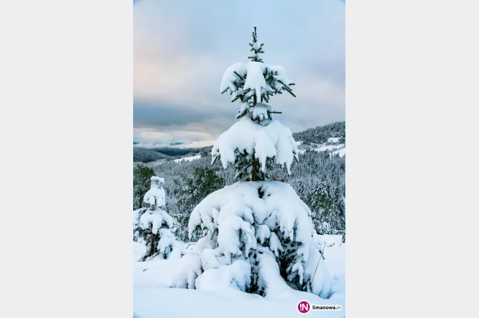 Zima jesienią 2016 roku - zdjęcie 12