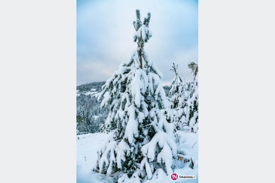 Zima jesienią 2016 roku - zdjęcie 13