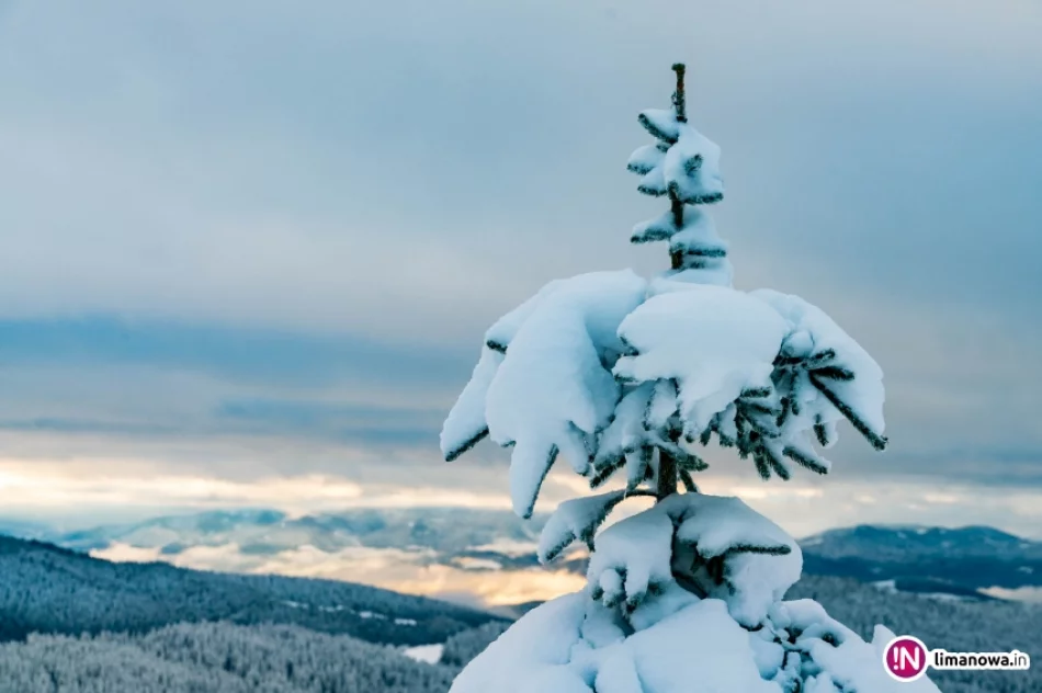 Zima jesienią 2016 roku - zdjęcie 14