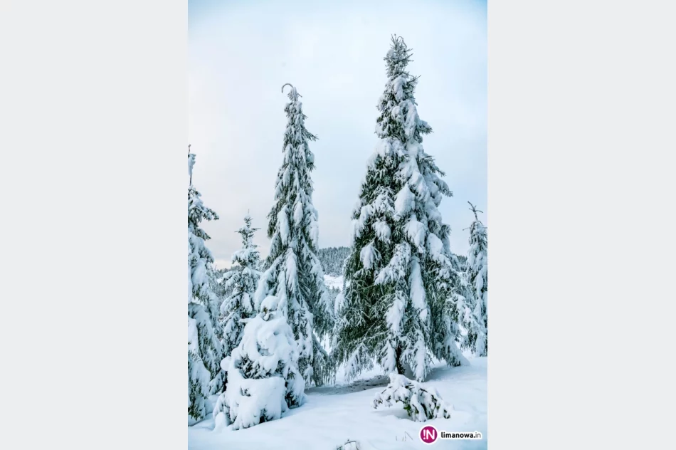 Zima jesienią 2016 roku - zdjęcie 17