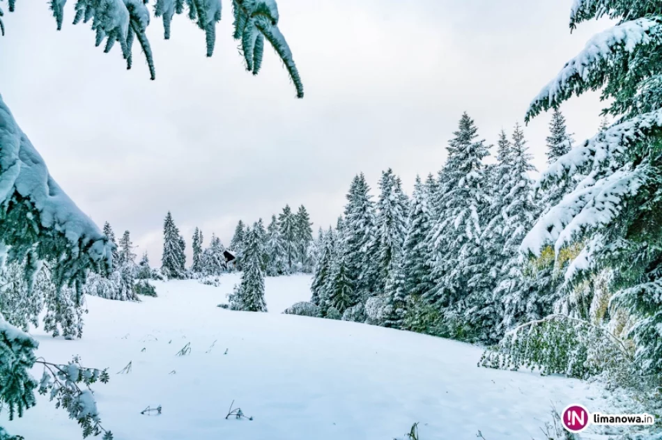 Zima jesienią 2016 roku - zdjęcie 19