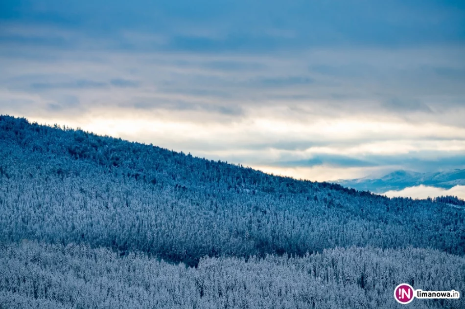 Zima jesienią 2016 roku - zdjęcie 20