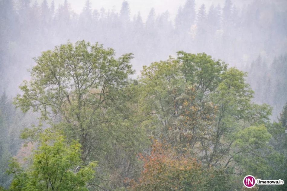 Białe lato, czyli zima 5 października 2016 roku - zdjęcie 2