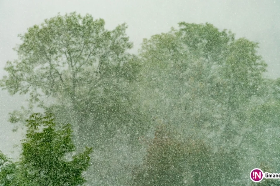 Białe lato, czyli zima 5 października 2016 roku - zdjęcie 3