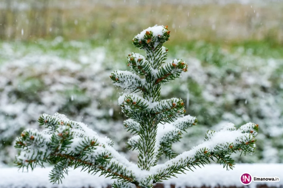 Białe lato, czyli zima 5 października 2016 roku - zdjęcie 4