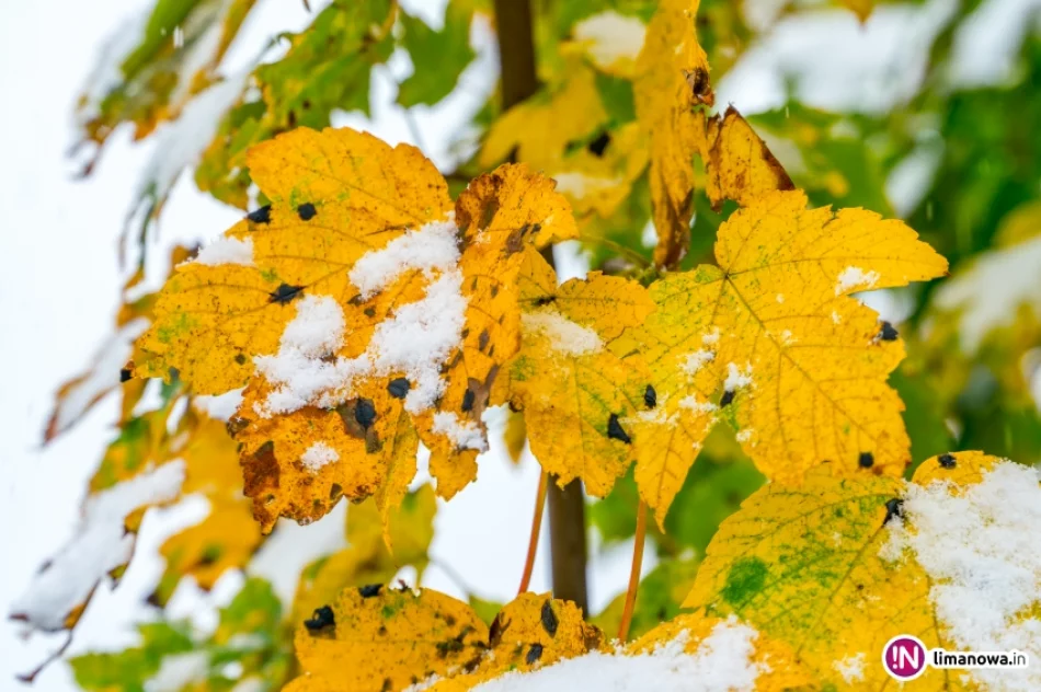 Białe lato, czyli zima 5 października 2016 roku - zdjęcie 5