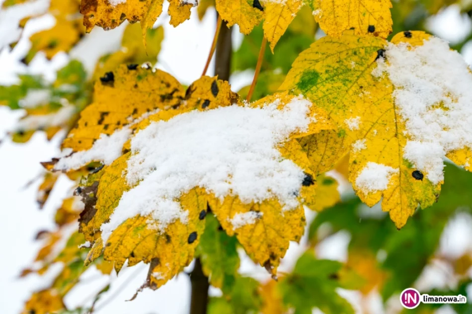 Białe lato, czyli zima 5 października 2016 roku - zdjęcie 6