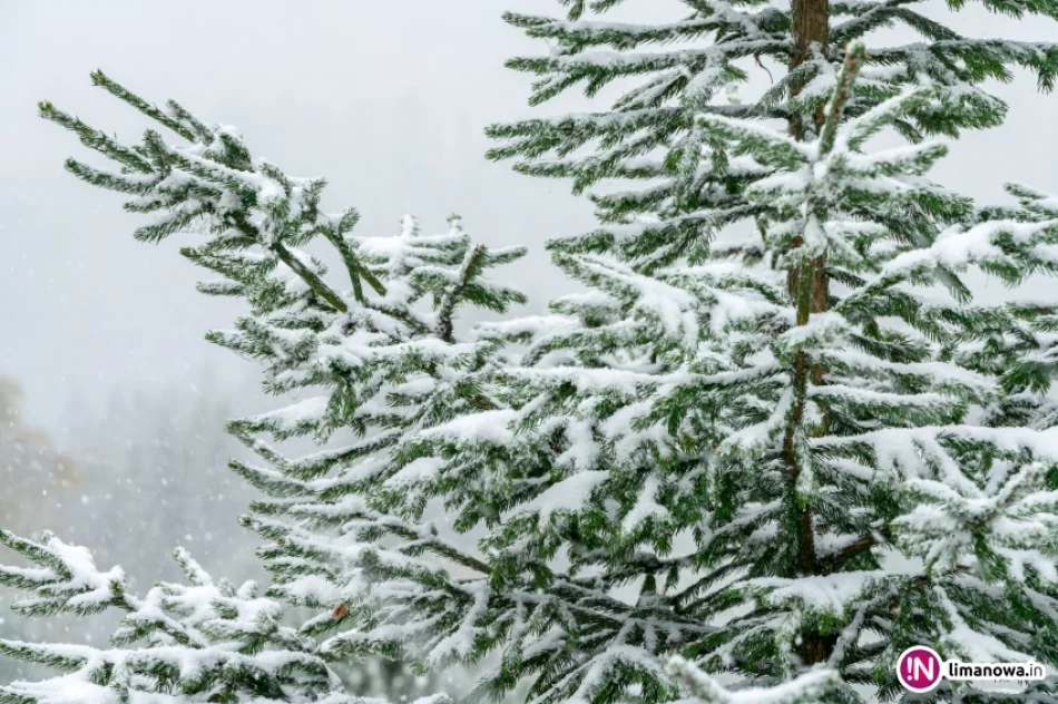 Białe lato, czyli zima 5 października 2016 roku - zdjęcie 7
