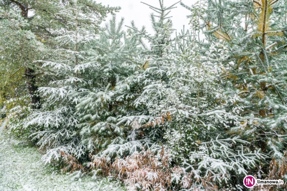Białe lato, czyli zima 5 października 2016 roku - zdjęcie 8