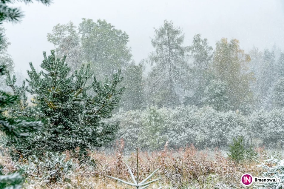 Białe lato, czyli zima 5 października 2016 roku - zdjęcie 9