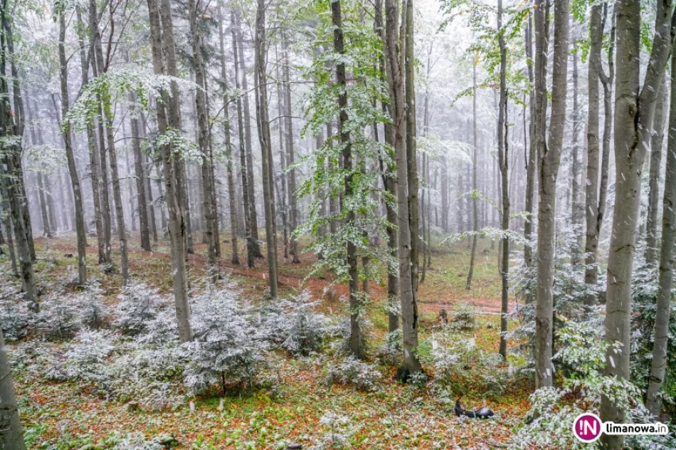 Białe lato, czyli zima 5 października 2016 roku - zdjęcie 11