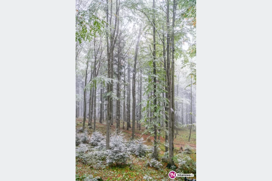 Białe lato, czyli zima 5 października 2016 roku - zdjęcie 12