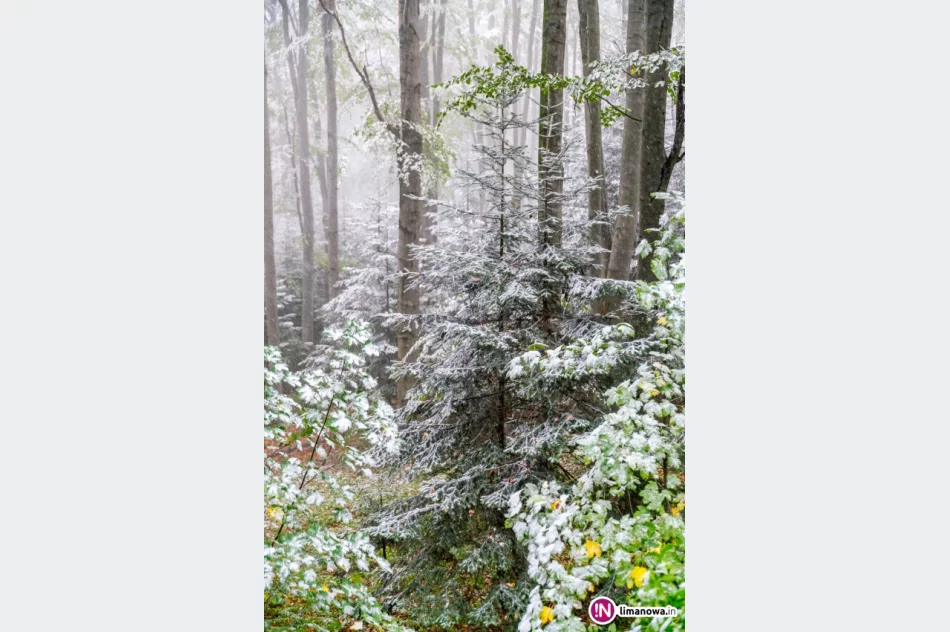 Białe lato, czyli zima 5 października 2016 roku - zdjęcie 13