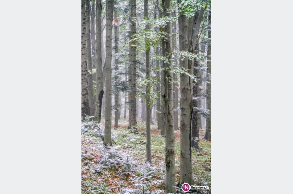 Białe lato, czyli zima 5 października 2016 roku - zdjęcie 14