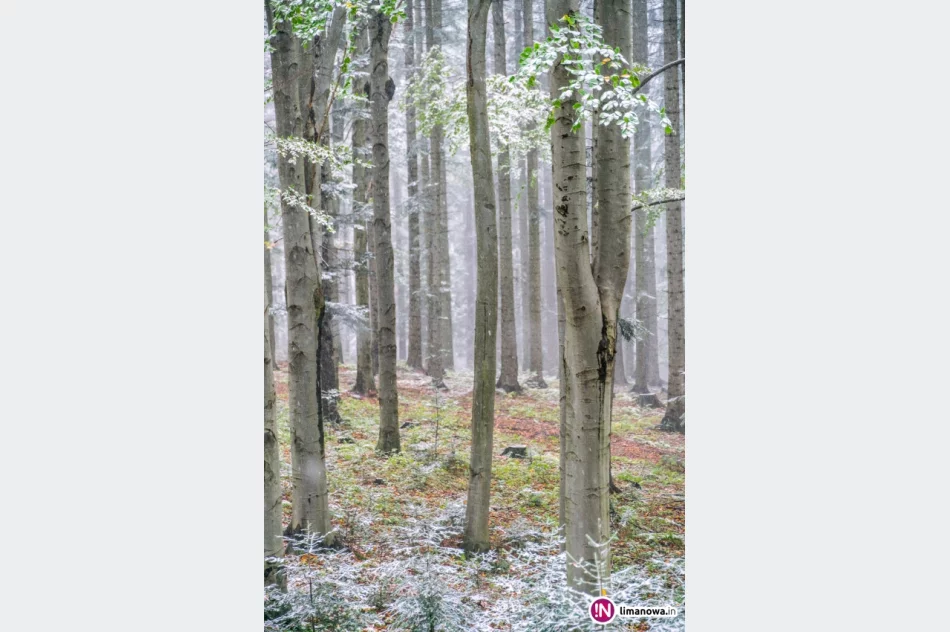 Białe lato, czyli zima 5 października 2016 roku - zdjęcie 15