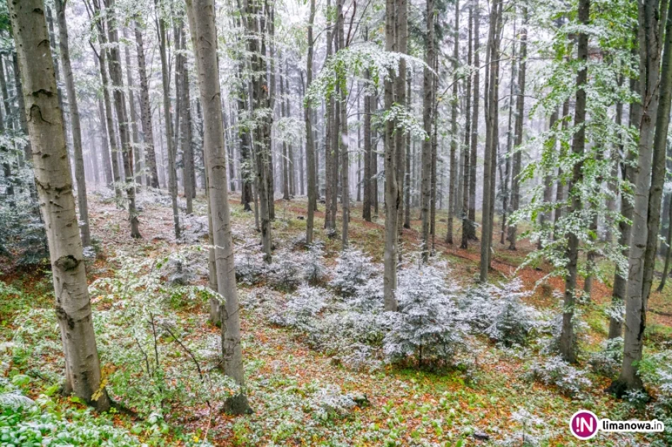 Białe lato, czyli zima 5 października 2016 roku - zdjęcie 16