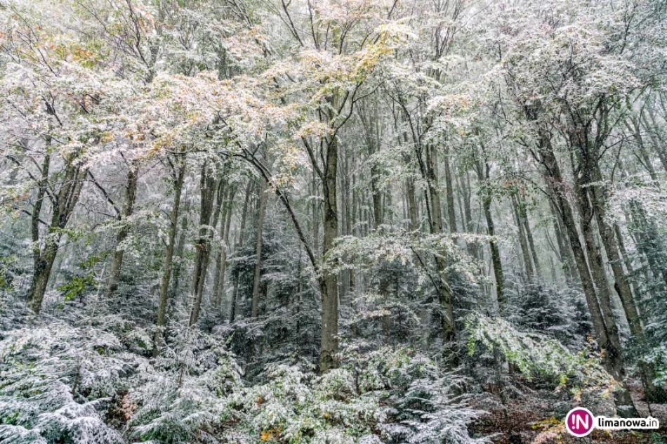 Białe lato, czyli zima 5 października 2016 roku - zdjęcie 17