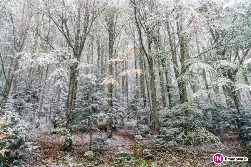 Białe lato, czyli zima 5 października 2016 roku - zdjęcie 18