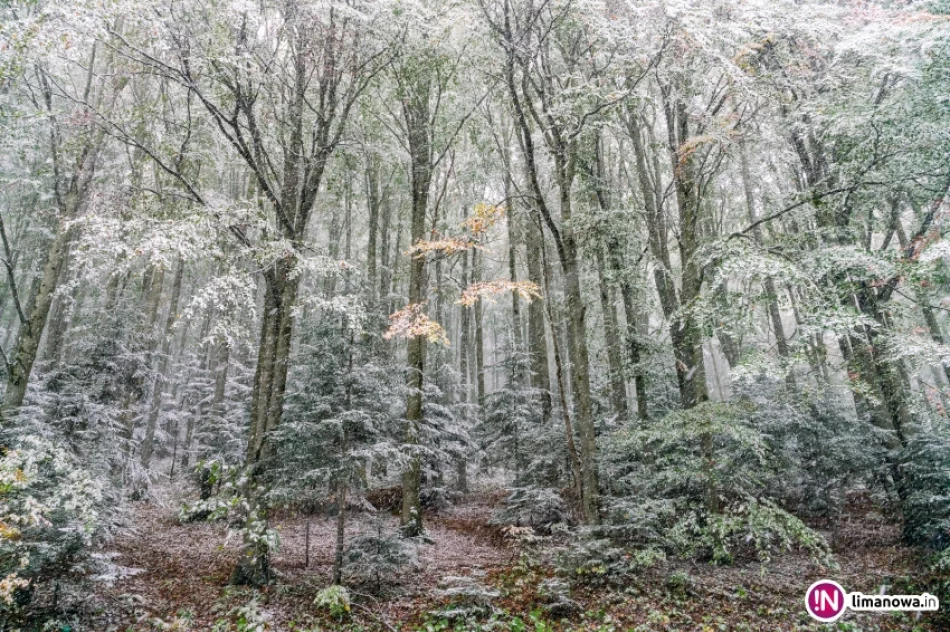 Białe lato, czyli zima 5 października 2016 roku - zdjęcie 19
