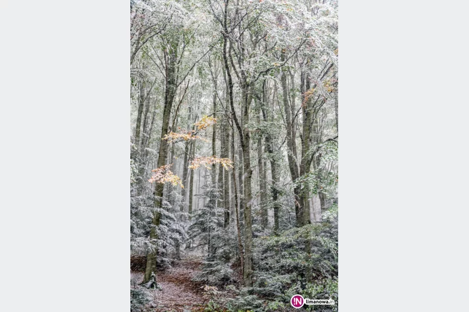 Białe lato, czyli zima 5 października 2016 roku - zdjęcie 20