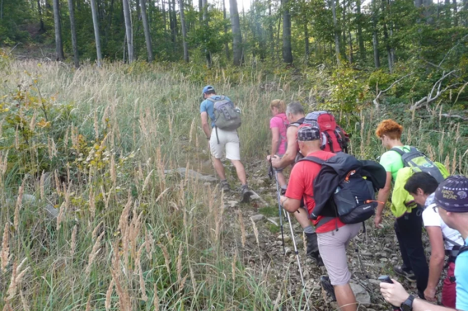 Vyhorlat i Rabia Skała z turystami z Preszowa. Sądeczanie na słowackich szlakach - zdjęcie 5