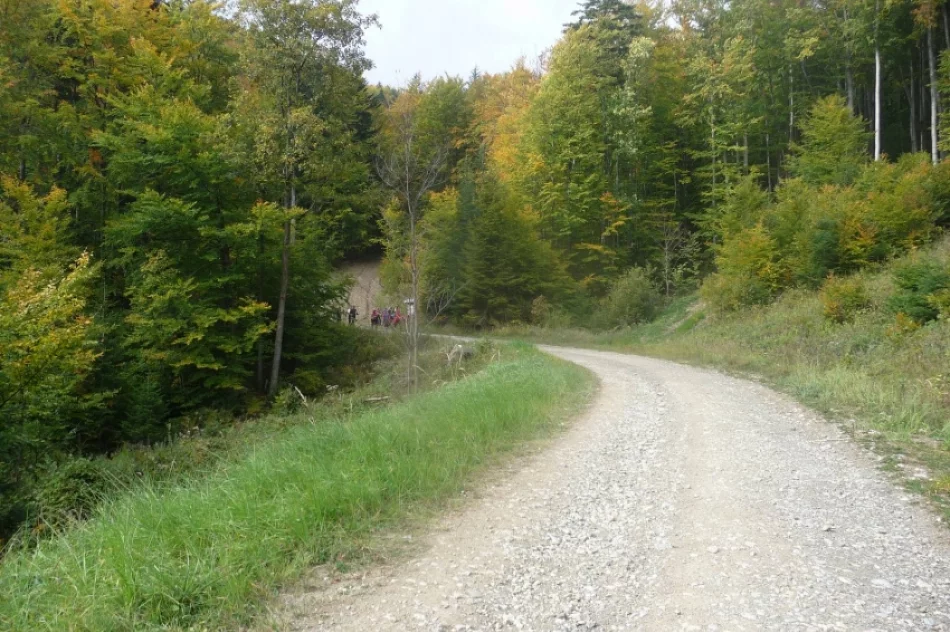 Vyhorlat i Rabia Skała z turystami z Preszowa. Sądeczanie na słowackich szlakach - zdjęcie 18