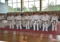 20 medali w dorobku limanowskich karateków - zdjęcie główne