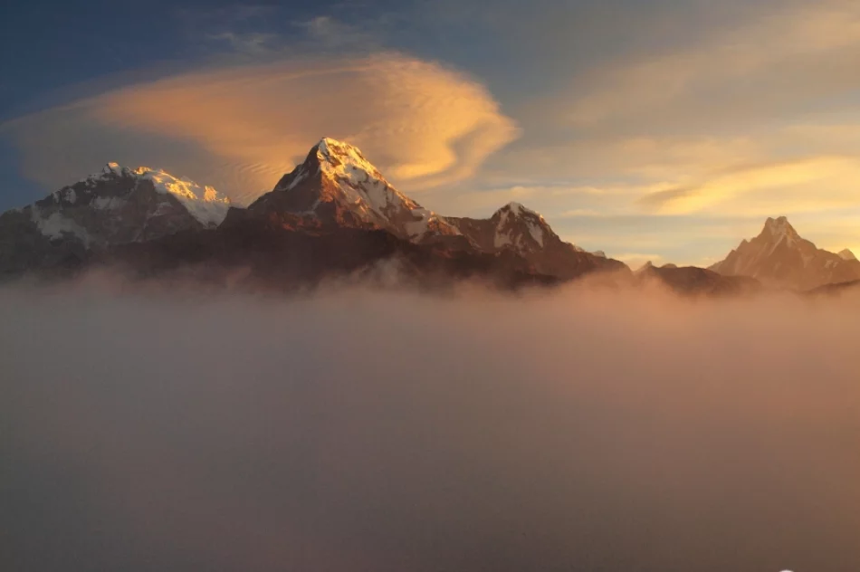 W dwudrzwiowej szafie mają cały dobytek - zdjęcie 6