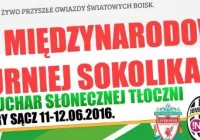 Turniej „Sokolika” rusza za 10 dni - zdjęcie główne
